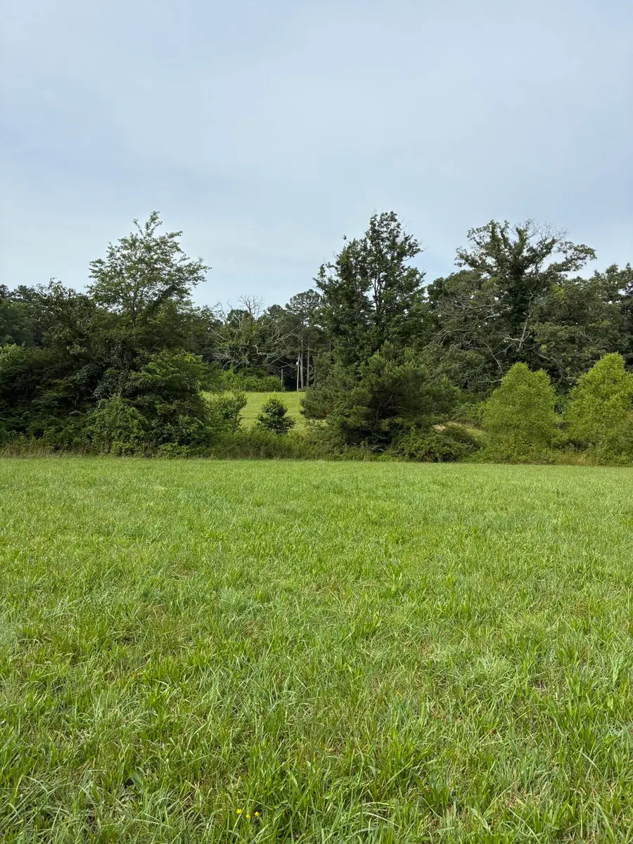 322 Shelton Road, Tracy City, TN 37387 - #3