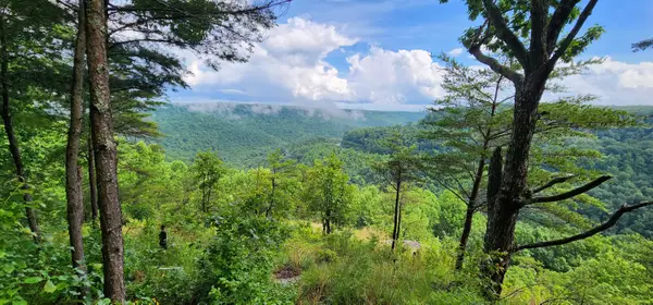 0 Eagle Point Drive #22, Monteagle, TN 37356