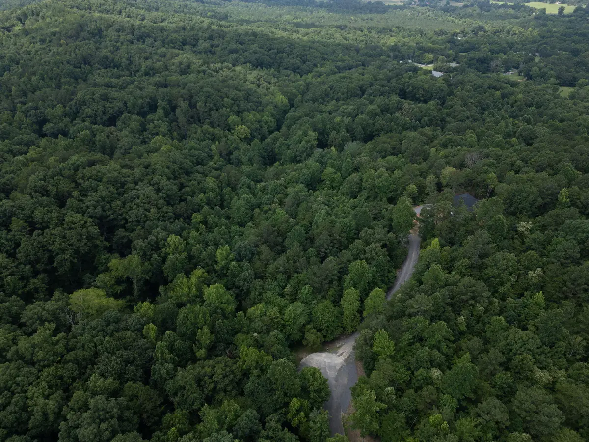00 Dogwood Hollow, Old Fort, TN 37362 - #1