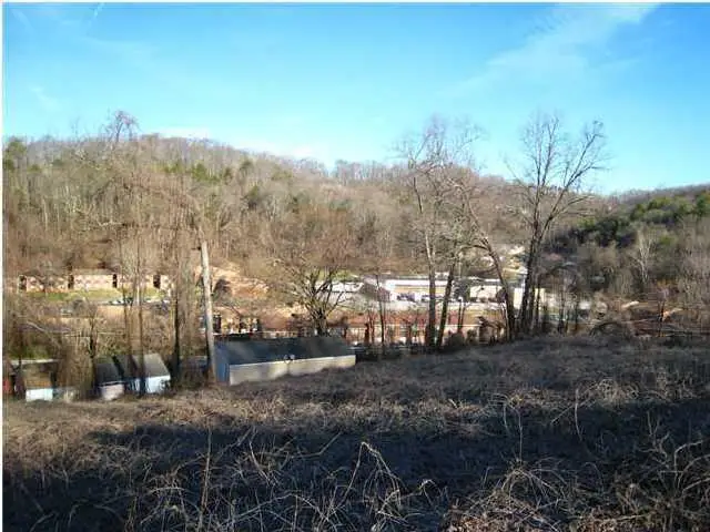 010 Grand View Street, Chattanooga, TN 37406 - #1