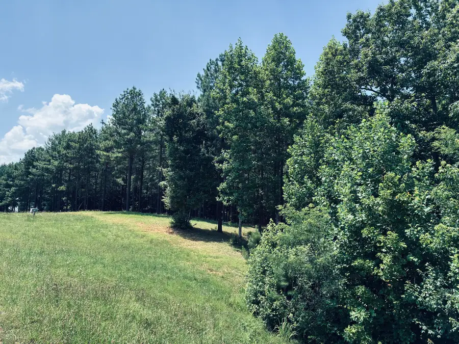 1711 Raulston Falls Road #Sv-239/230, Jasper, TN 37347 - #3