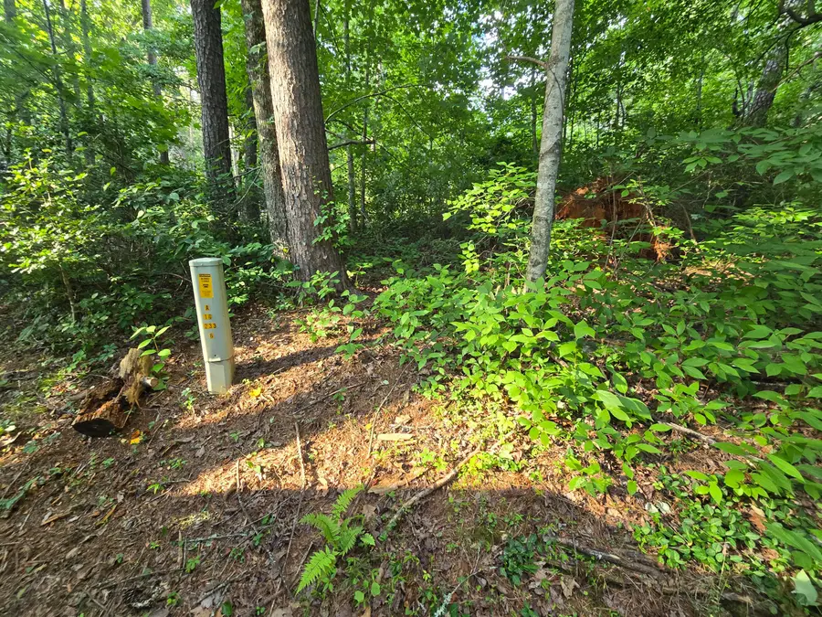 000 Colwell Church Rd, Epworth, GA 30541 - #2