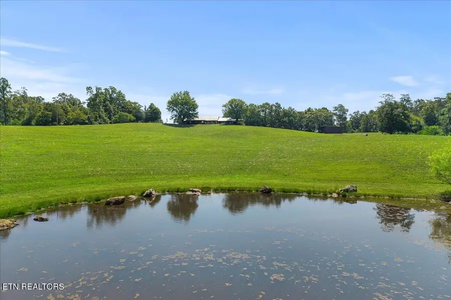 910 Reagan Valley Road, Tellico Plains, TN 37385 - #3
