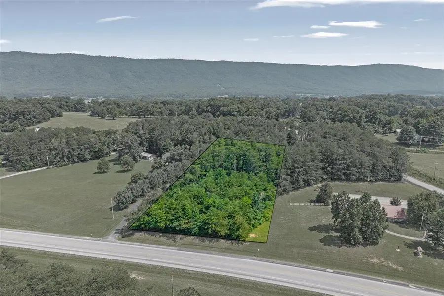 000 State Highway 310, Etowah, TN 37331 - #3