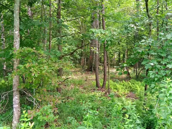 76 Pine Road #19, Pikeville, TN 37367
