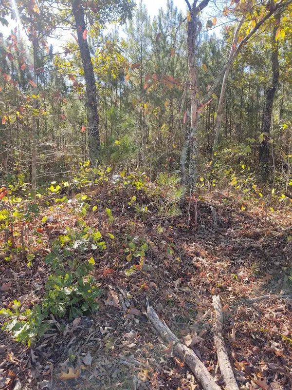 00 Joe Robertson, Rocky Face, GA 30740