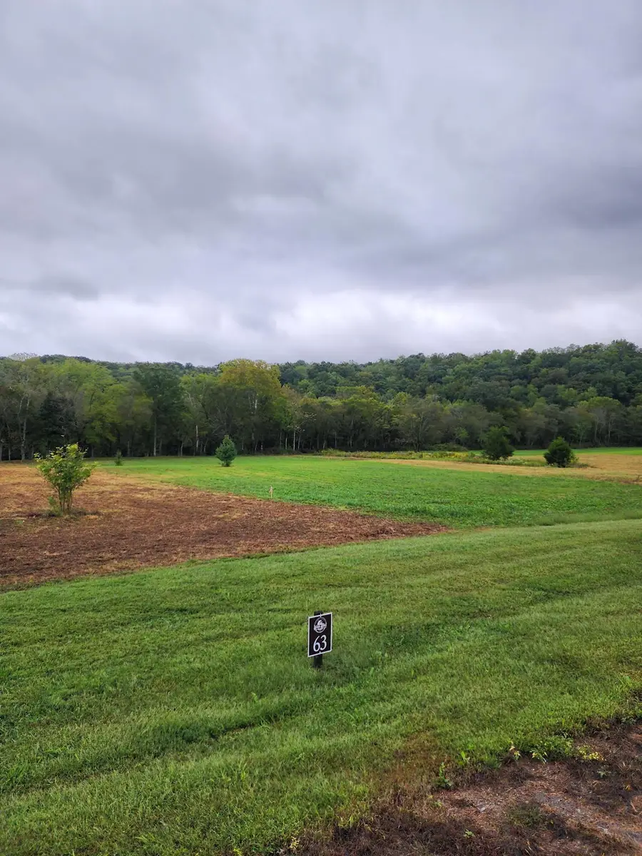 63 River Ridge Drive, Dunlap, TN 37327 - #3
