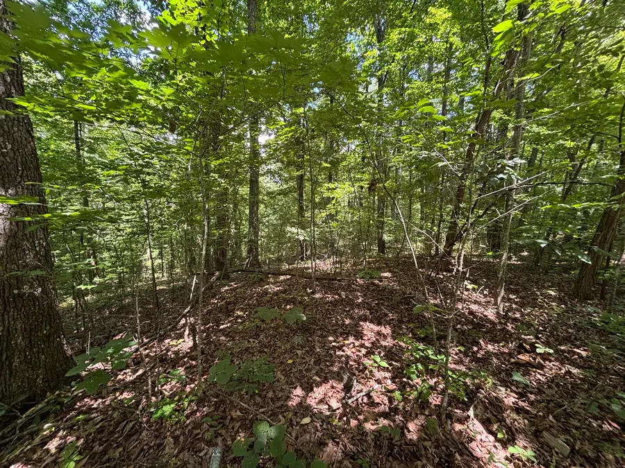 0 Sussex Road, Dayton, TN 37321 - #2