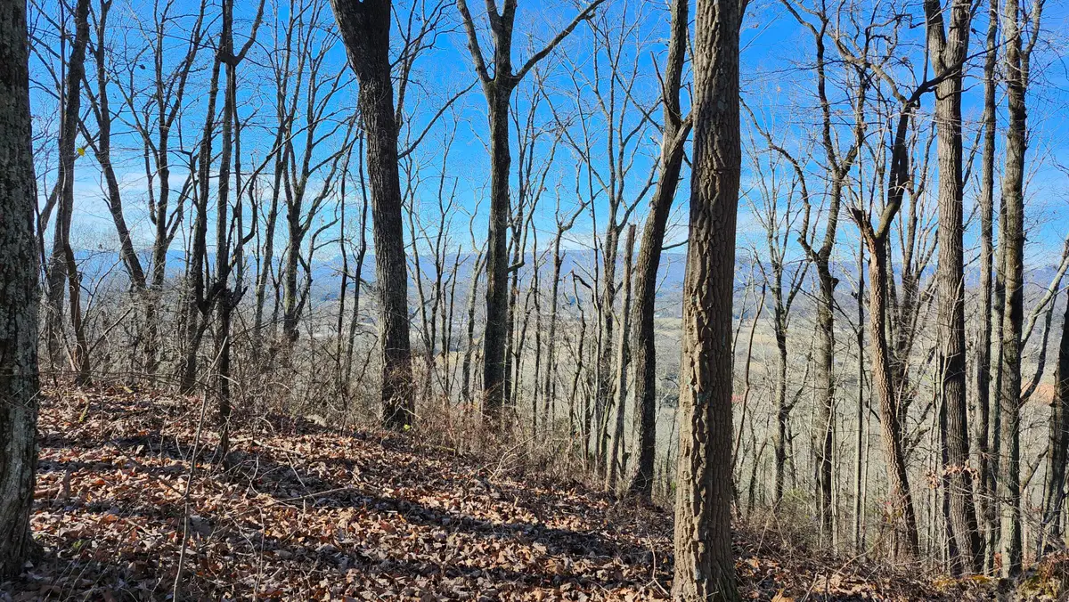 0 Rector Road #11.5 Ac, Jasper, TN 37347 - #1