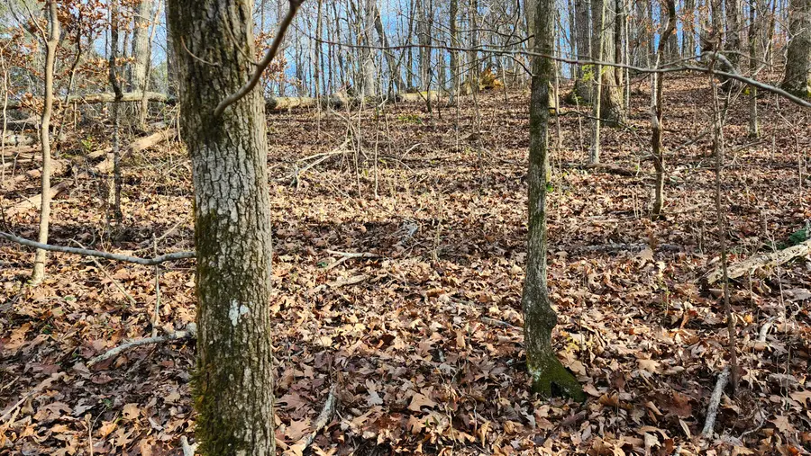 0 Rector Road #11.5 Ac, Jasper, TN 37347 - #2