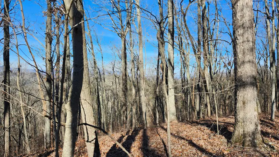 0 Rector Road #11.5 Ac, Jasper, TN 37347 - #3