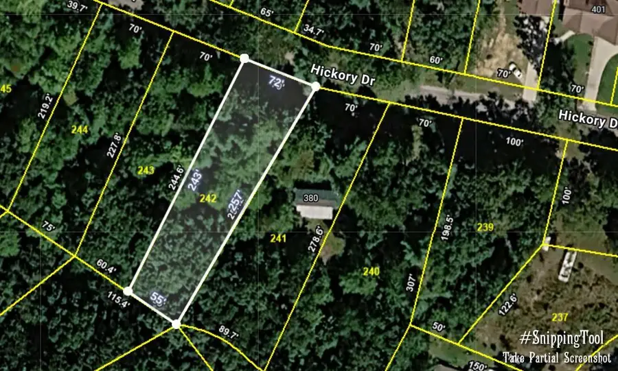 Lot 242 Hickory Drive, Spring City, TN 37381 - #2