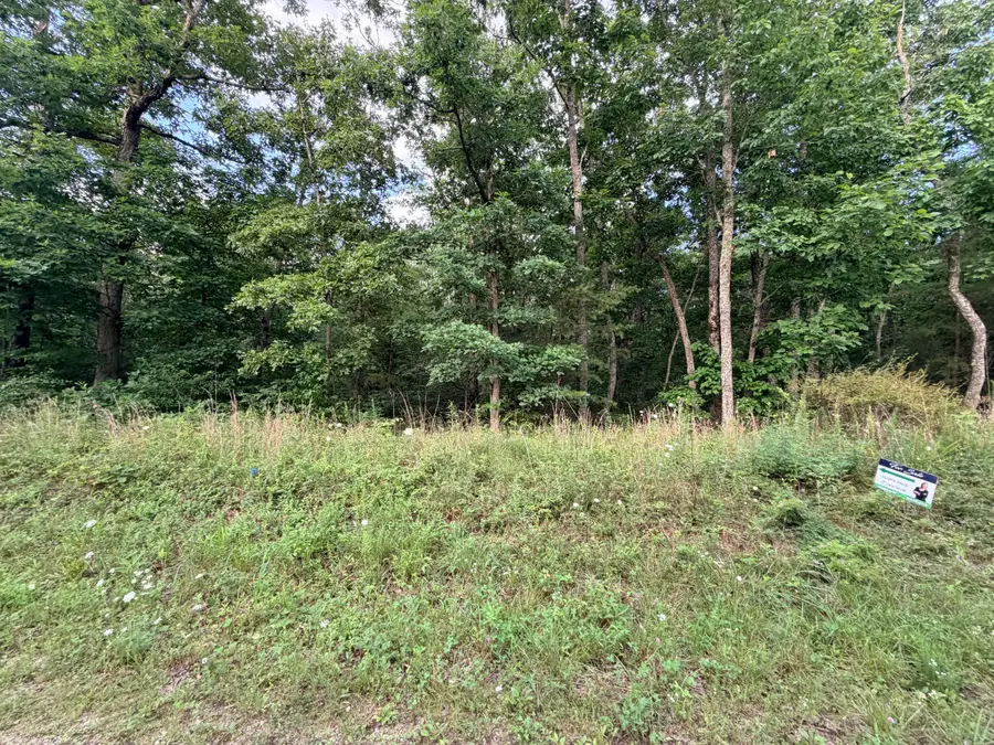 00 Horizon Drive, Pikeville, TN 37367 - #2