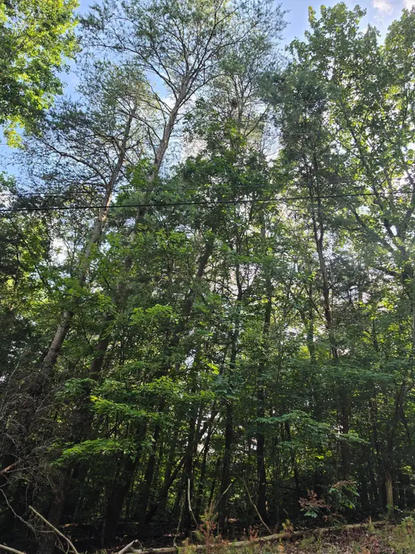 0 Dogwood, Dunlap, TN 37327