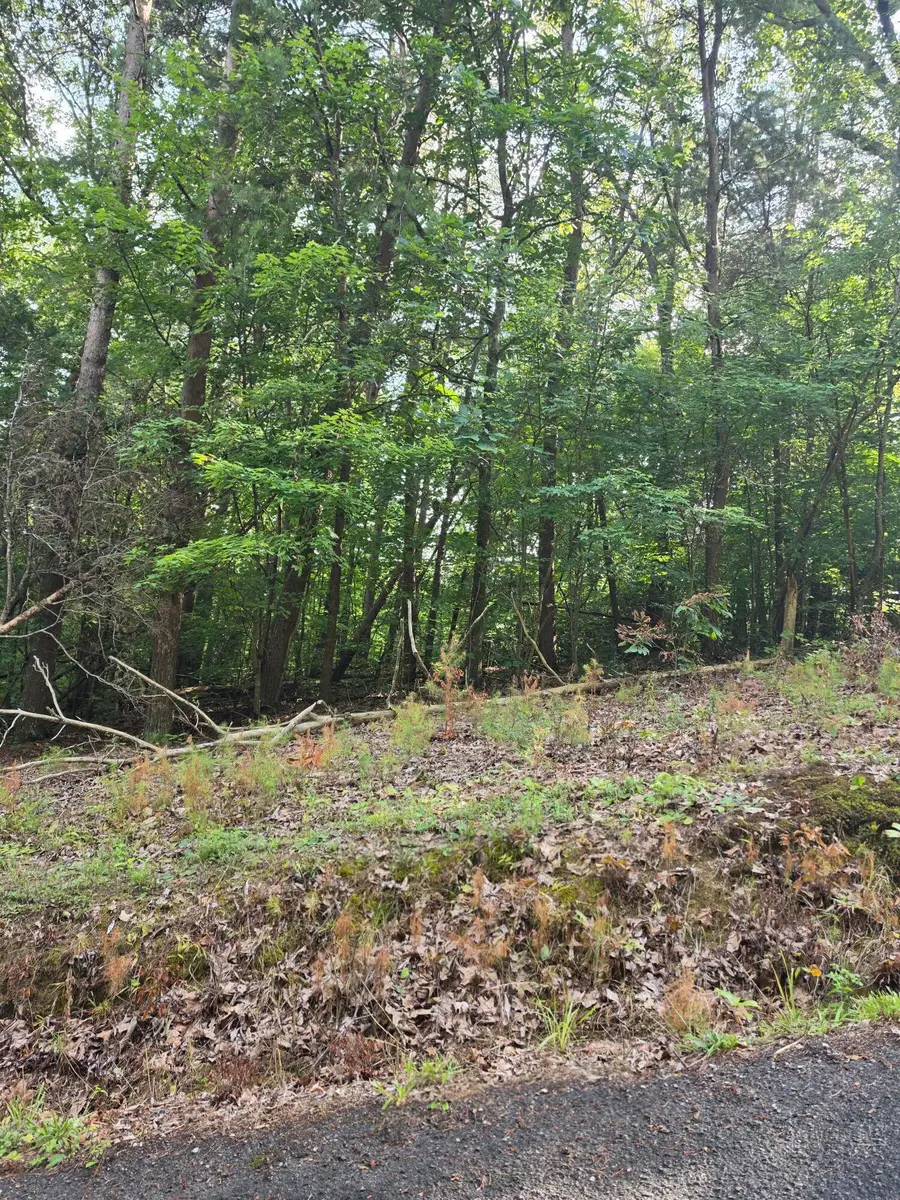 0 Dogwood, Dunlap, TN 37327 - #2