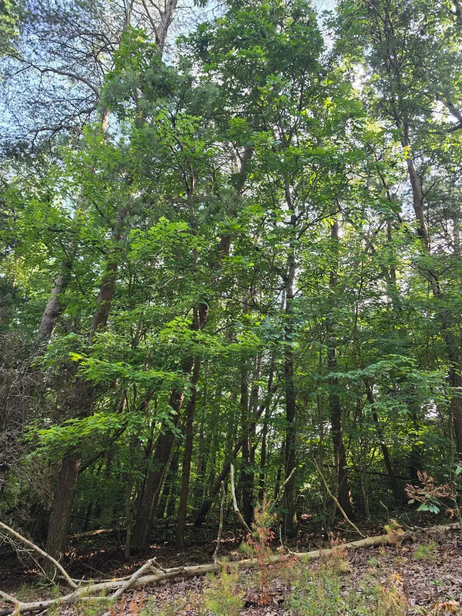 0 Dogwood, Dunlap, TN 37327 - #3