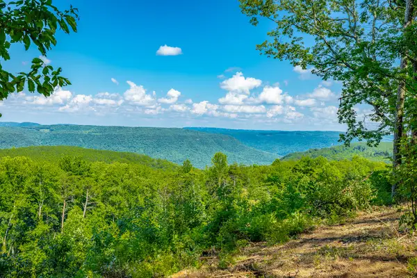 0 High Ground Road #2222, Guild, TN 37340
