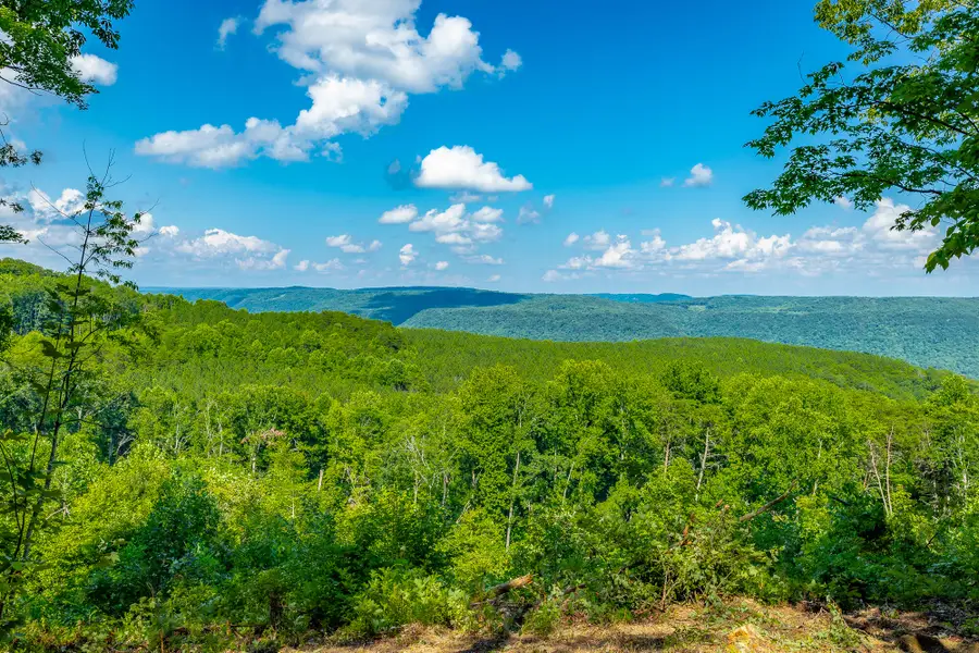 0 High Ground Road #2222, Guild, TN 37340 - #2