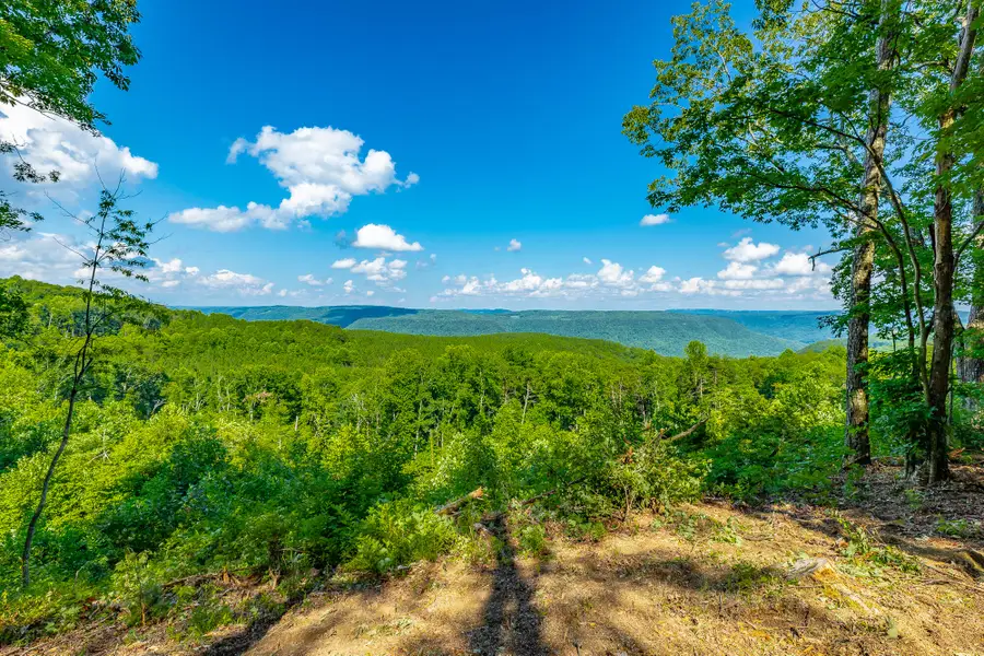 0 High Ground Road #2222, Guild, TN 37340 - #3