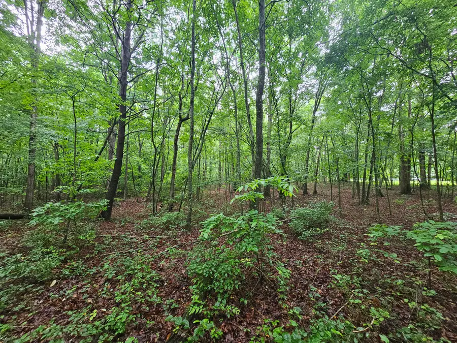 2411 Sr 56 Road #2, Tracy City, TN 37387 - #2