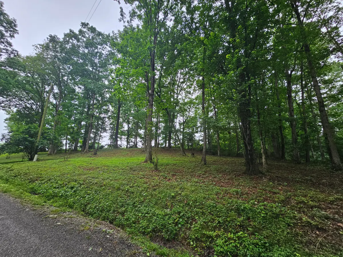 2411 Sr 56 Road #5, Tracy City, TN 37387 - #1