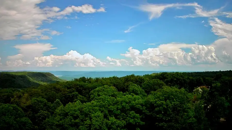 381 Patton School Road #02, South Pittsburg, TN 37380 - #2