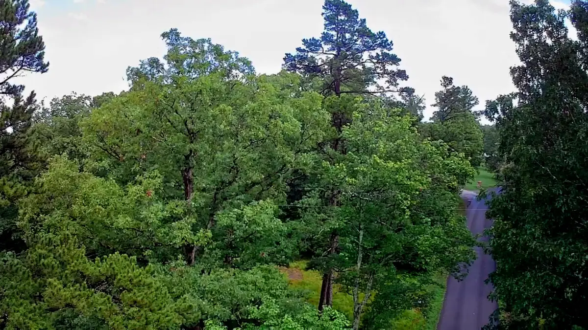 003 Patton School Road #03, South Pittsburg, TN 37380 - #1