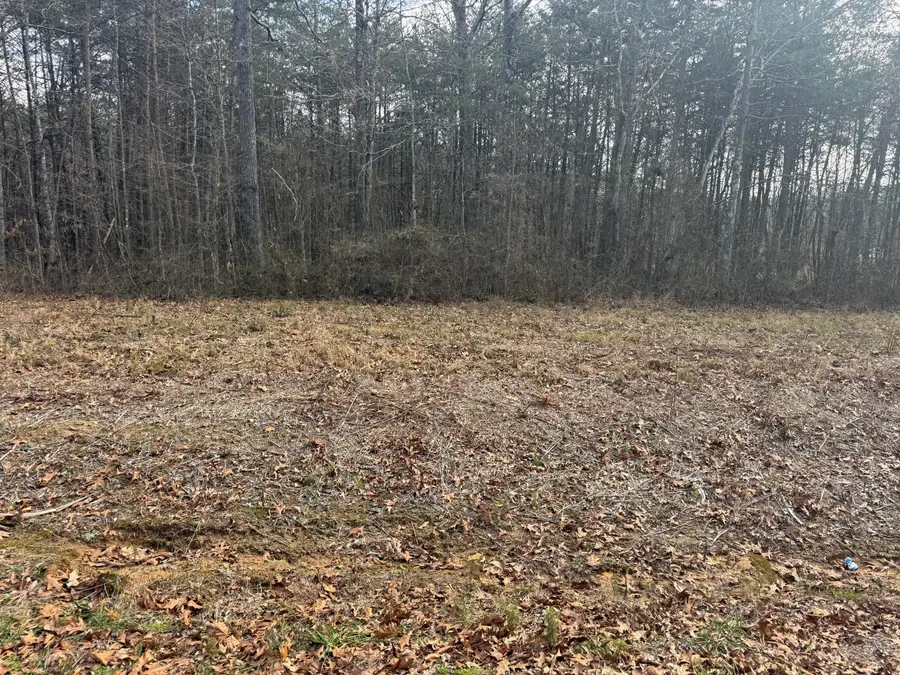 01 County Road #267, Lot 6, Bryant, AL 35958 - #2