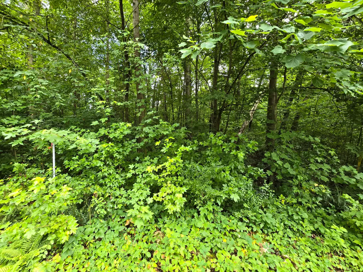 Lot 133 Lower Brow Road, Dunlap, TN 37327 - #1