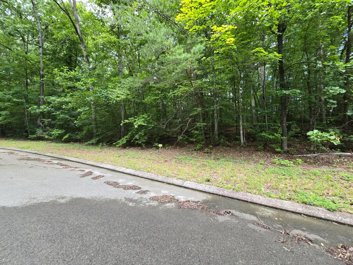 Lot 136 Lower Brow Road, Dunlap, TN 37327 - #1