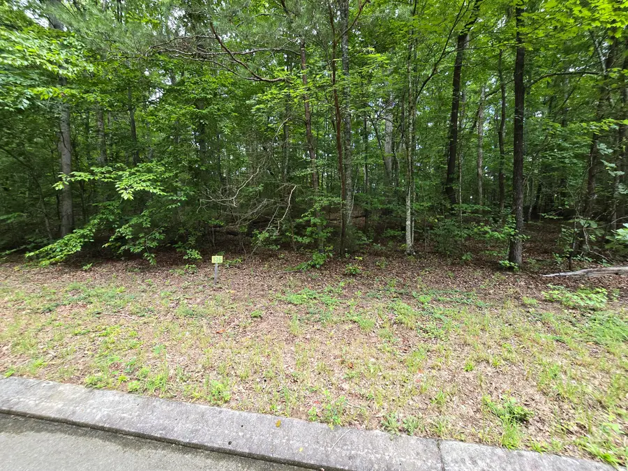 Lot 136 Lower Brow Road, Dunlap, TN 37327 - #2