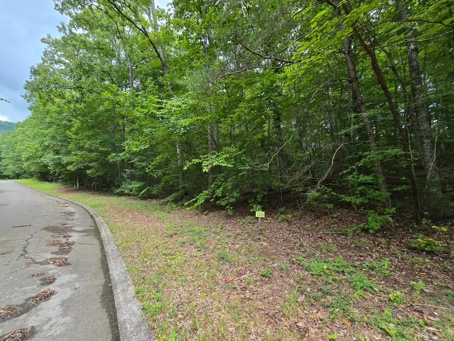 Lot 136 Lower Brow Road, Dunlap, TN 37327 - #3