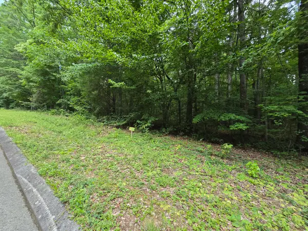 Lot 138 Lower Brow Road, Dunlap, TN 37327