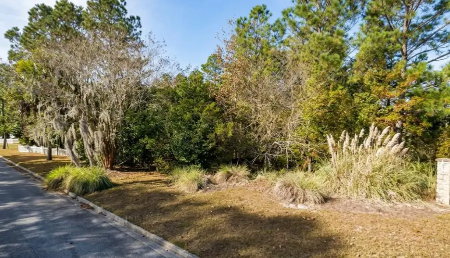 0 Terrel Mill Road, Pooler Bloomingdale, GA 36678 - #2
