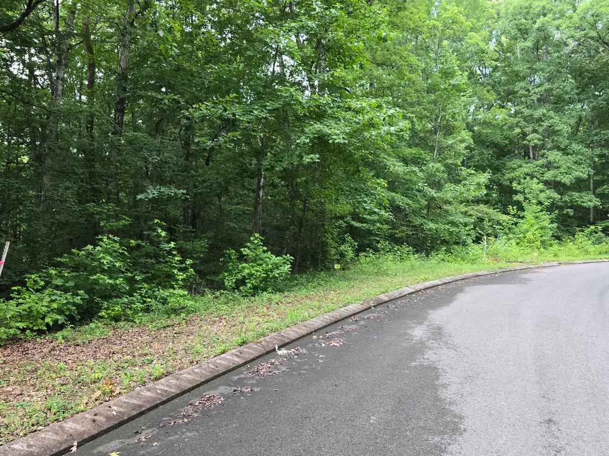 Lot 141 Lower Brow Road, Dunlap, TN 37327 - #1
