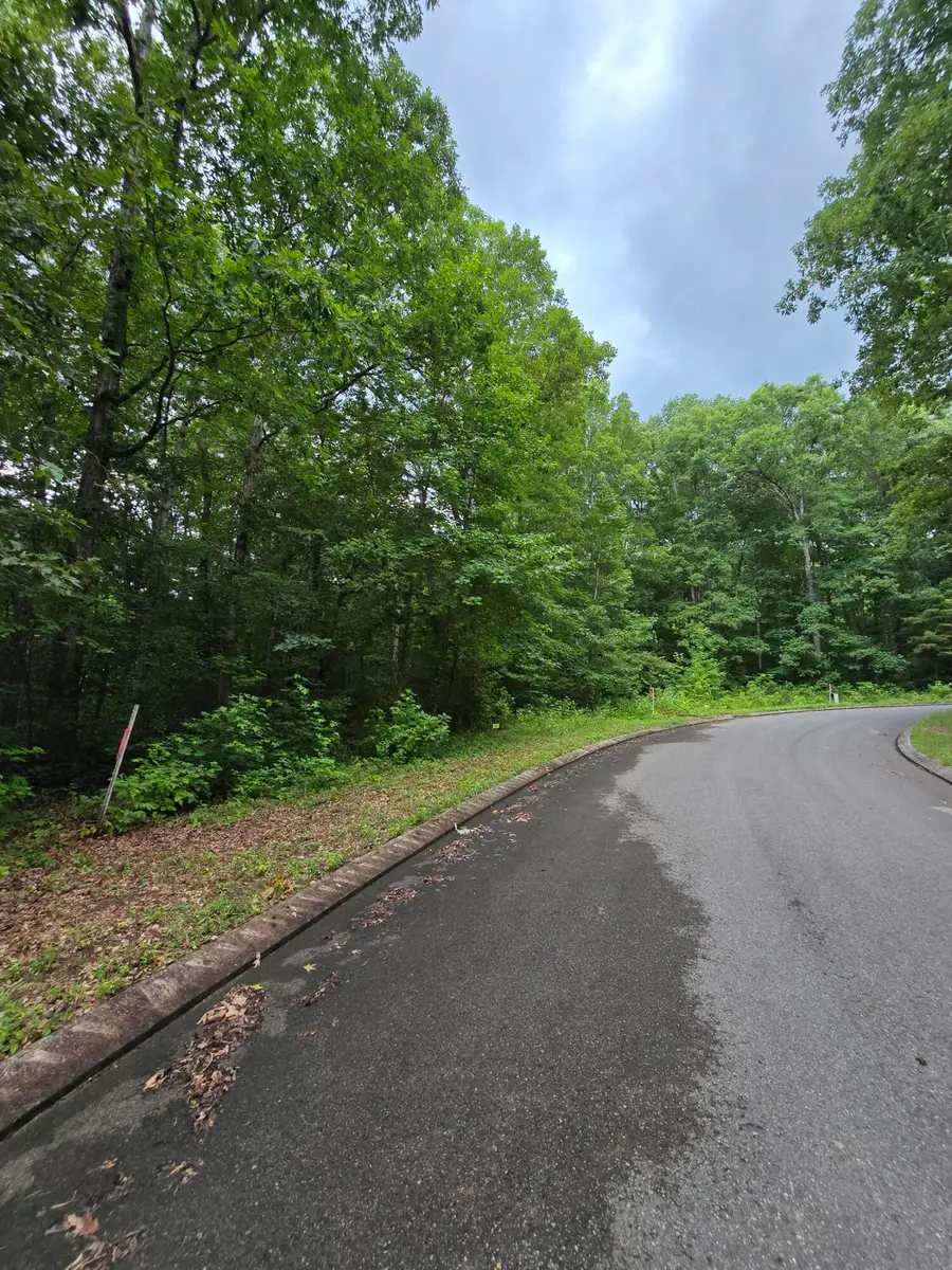 Lot 141 Lower Brow Road, Dunlap, TN 37327 - #2