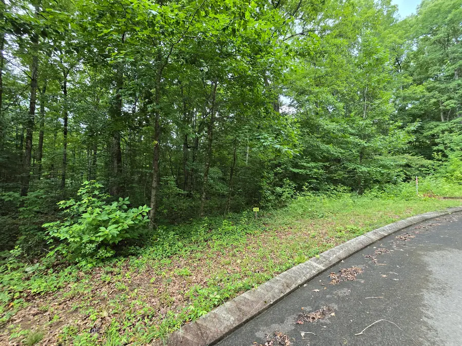 Lot 141 Lower Brow Road, Dunlap, TN 37327 - #3