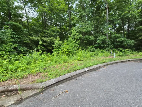 Lot 142 Lower Brow Road, Dunlap, TN 37327