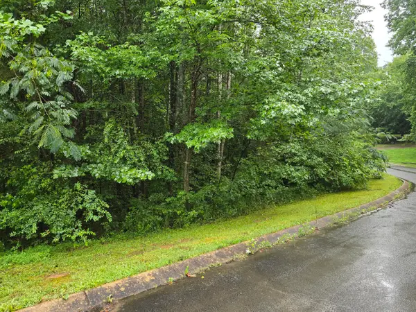 0 Big Cedar Drive, Dunlap, TN 37327