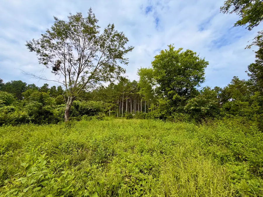 847 Eads Bluff Road Nw, Georgetown, TN 37336 - #3