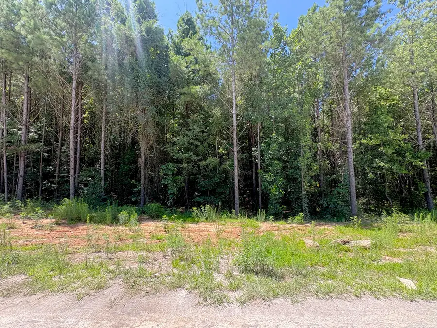 5199 Split Rail Way #1151, Guild, TN 37340 - #2