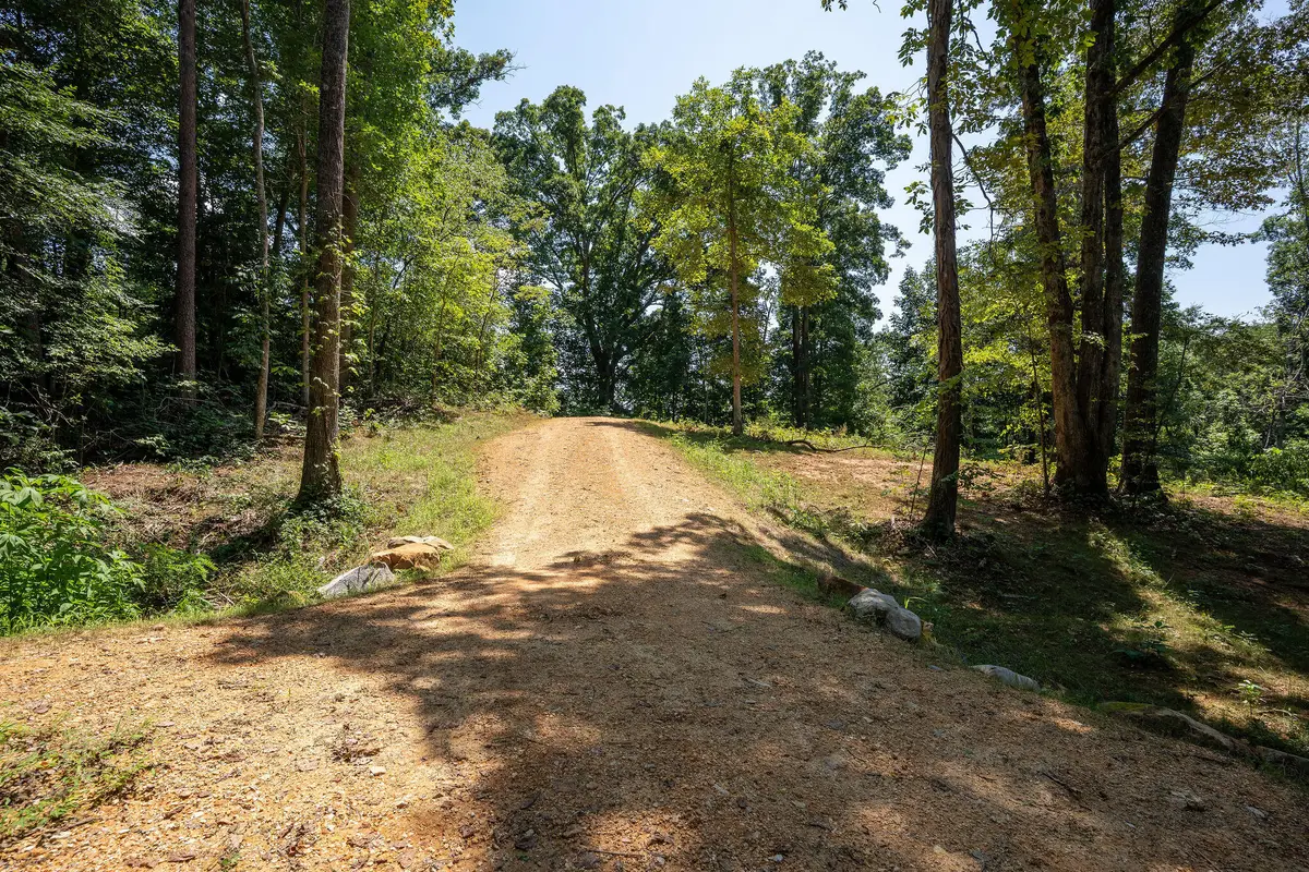 14.34 Ac Church Street, Valley Head, AL 35989 - #1