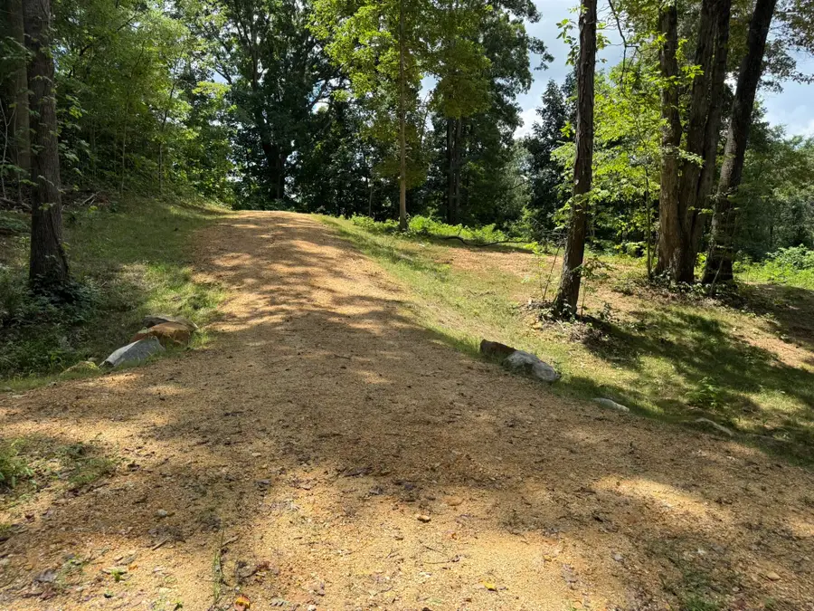 14.34 Ac Church Street, Valley Head, AL 35989 - #3
