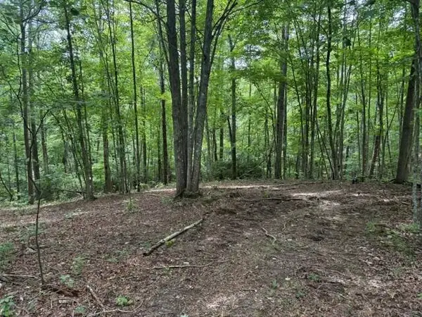 3b S Pittsburg Mountain Road #3b, South Pittsburg, TN 37380