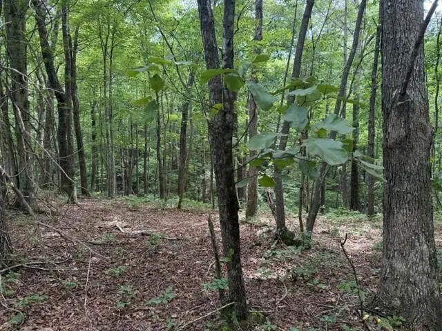 3b S Pittsburg Mountain Road #3b, South Pittsburg, TN 37380 - #2