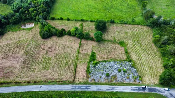 1740 L Swafford Rd Road, Pikeville, TN 37367