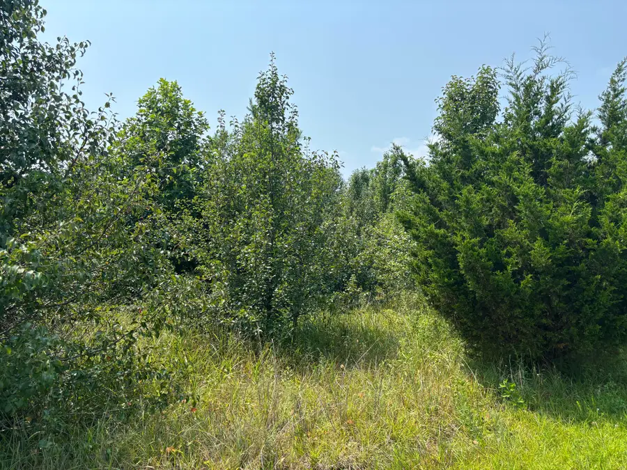 0 S R 8 Drive, Dunlap, TN 37327 - #3