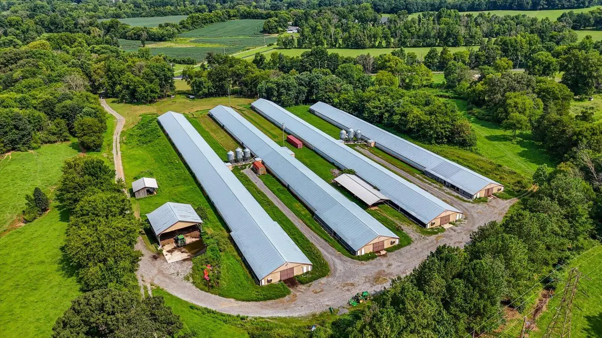 810 Ketner Cove Road, Whitwell, TN 37397 - #1