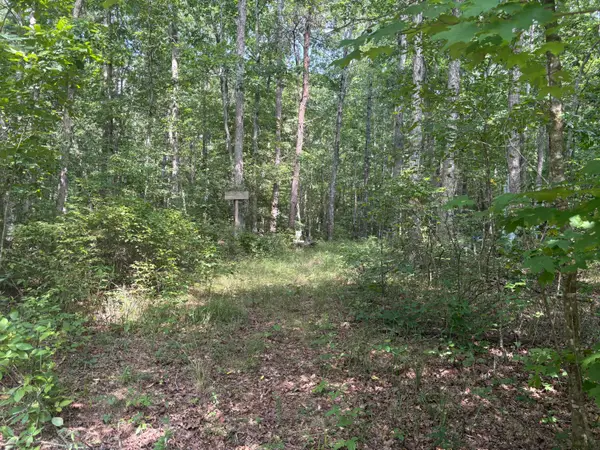 0 Griff Johnson Road, Menlo, GA 30731
