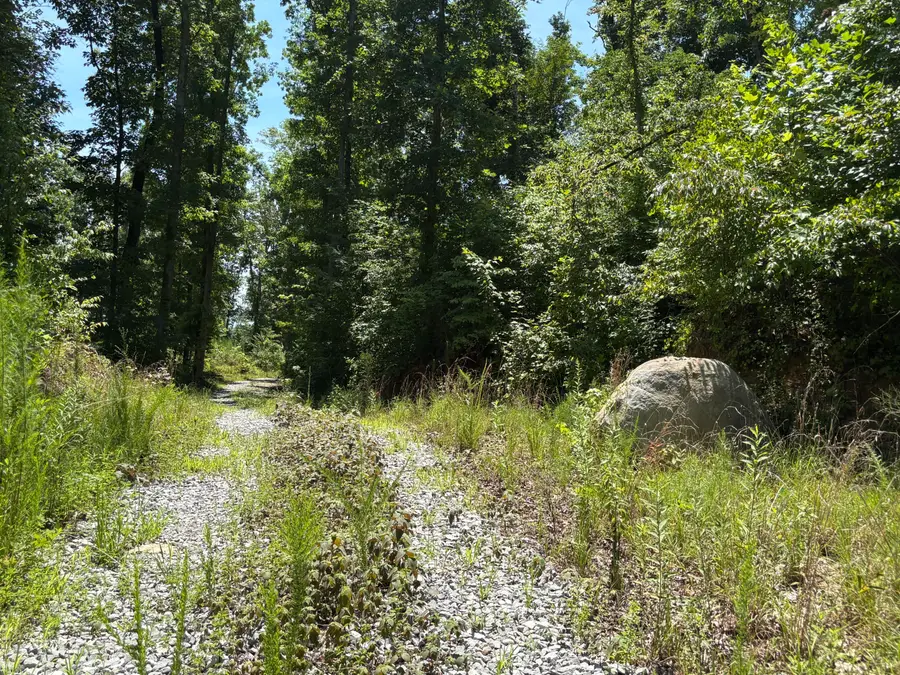 0 Lee Station Mountain Road Road #080 022.00, Pikeville, TN 37367 - #2
